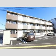 パセオプラシード A&Мの外観画像