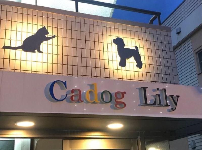 Cadog Lilyの外観画像