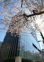 桜ヒルズ九段北の外観画像