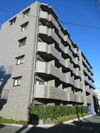 ルーブル墨田立花の間取り画像