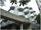 マンションカンギンの間取り画像