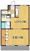 シュテルンハイムHiroの間取り画像