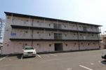 メゾン富田の間取り画像