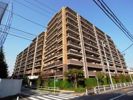 テンガ メイツ西台の間取り画像