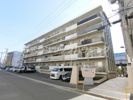 KNハイツの間取り画像