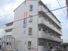 メゾンド井上の間取り画像