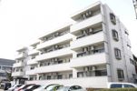 パル翠町(シングル)の間取り画像