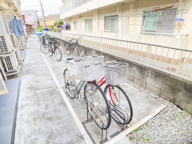 庭