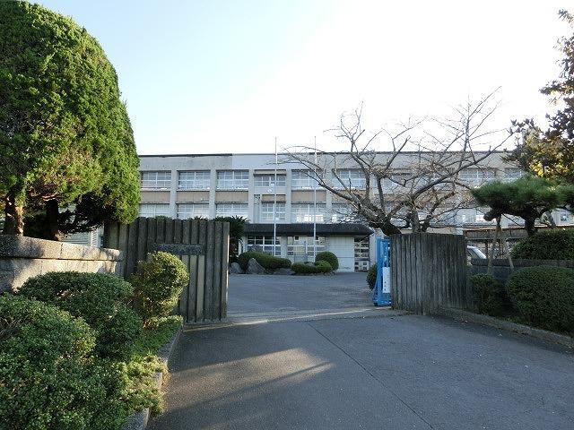 新入小学校(1100m)