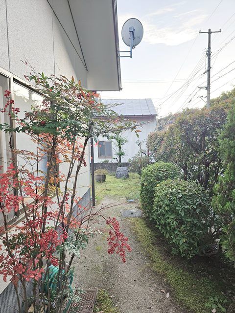 庭