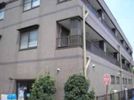 マンションニューフォレストの外観