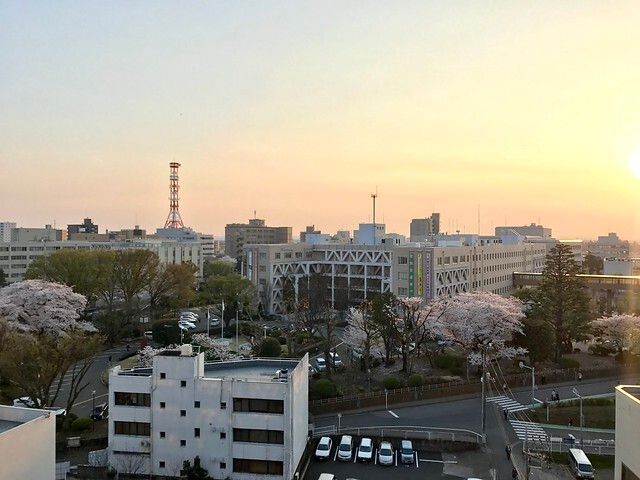 眺望