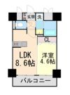 アドバンス三宮Ⅱライズの間取り画像