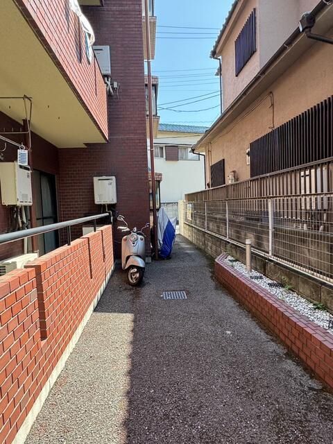 庭