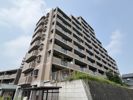 ヴェルシャトー高陽壱番館（803）の間取り画像