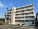 エル パライソの間取り画像