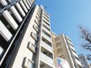 エスコートノヴェル南麻布の間取り画像