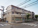 ハナミズキの外観