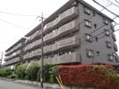 ウィーブ浦和の間取り画像