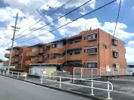 シャロンエースの間取り画像