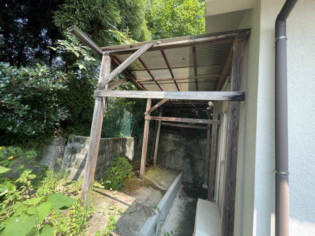 庭