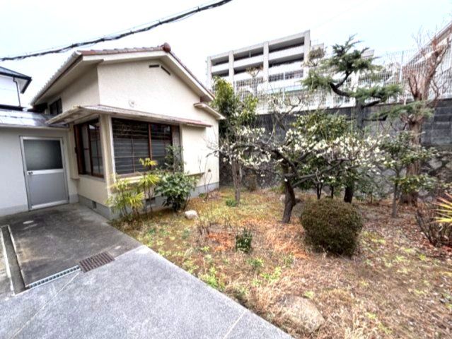 庭