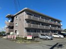 ベルティストンの間取り画像
