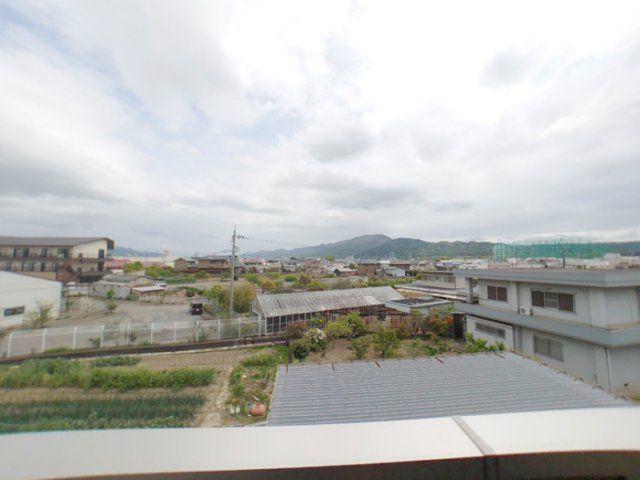 眺望