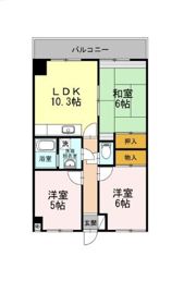 フリーダム光が丘Ⅱの間取り画像
