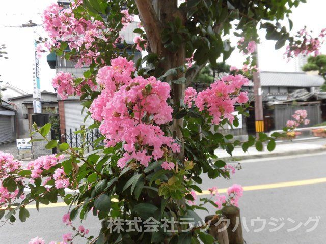 近くに施設あり