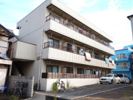 エバーグリーン東葛西の間取り画像