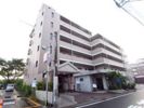 伯玄オーシャンハイツの間取り画像
