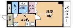 メゾンYOU&Iの間取り画像