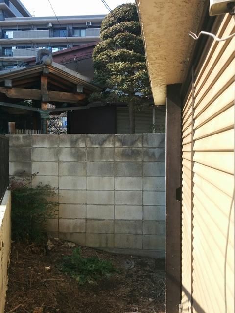 庭