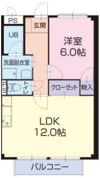 リバーサイドいかりの間取り画像