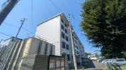田園ハイツ川越2号棟の間取り画像