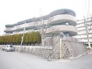 メゾン京良城の間取り画像