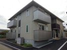 ライスシャワー坪井の間取り画像