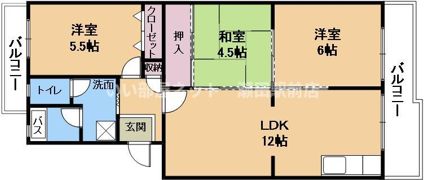 チュリス石山の間取り画像