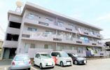 コーポ上野台の間取り画像