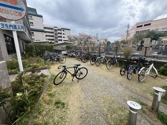 庭