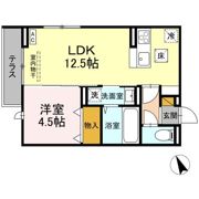 セレウィータ栄町の間取り画像