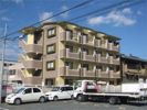 マンションアリーナ・ピアの間取り画像