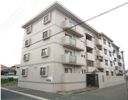 USハイツの間取り画像
