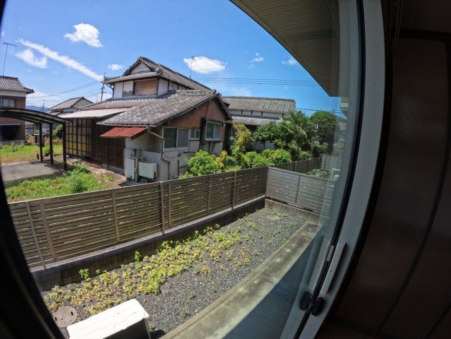 庭