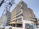 ルミエール箱崎駅前の間取り画像