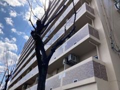 サウスフラットの外観画像