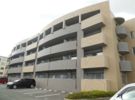 エバーグレイスの間取り画像