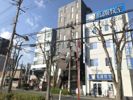 森の雫の間取り画像