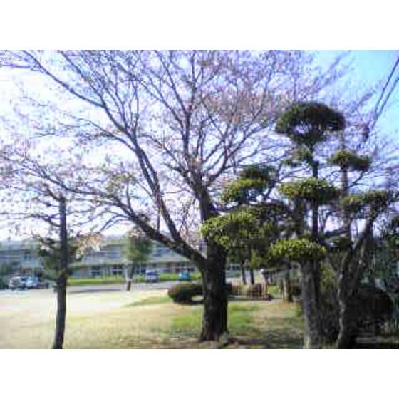近くに施設あり